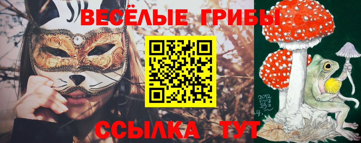 Псилоцибиновые грибы Psilocybe  продажа наркотиков  Новороссийск  Вход с VPN 